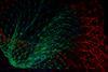 BT’s Ben Clinch on data modelling and pulling back the GenAI ‘magic curtain’