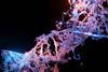 BT’s buying chief Pourrat injects risk management into the Sourced DNA