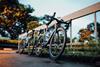 btw313-6b-people-cycles