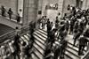 dtw#96-crowd-covid-app