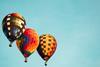 People, Alumni – hot air balloons aaron-burden-GFpxQ2ZyNc0-unsplash