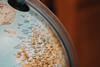 Elsewhere in Vodafone Partner Markets: soft-power network developments