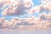 tfw163-tt-security-cloud