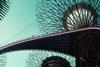 dtw88-01-03-garden-bridge