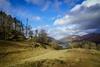 WHP wins managed service job for Shared Rural Network