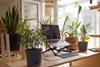 Elsewhere in Vodafone Europe: VfD introduces flexible working model