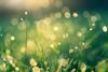 Elsewhere in Systems Solutions: Envision Digital to help reduce German CO2 emissions after pilot